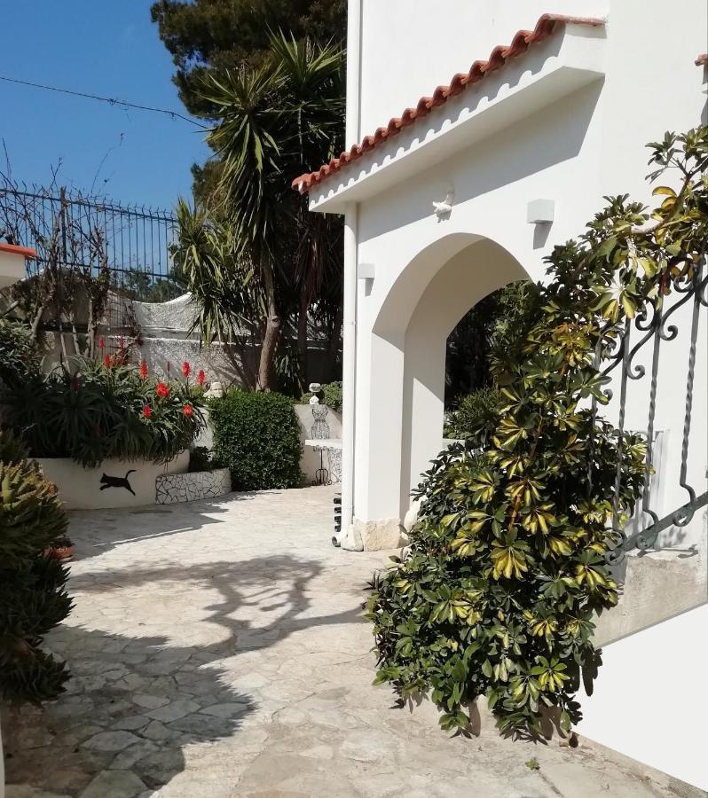 B&B L'Altare Bianco Vieste Bagian luar foto