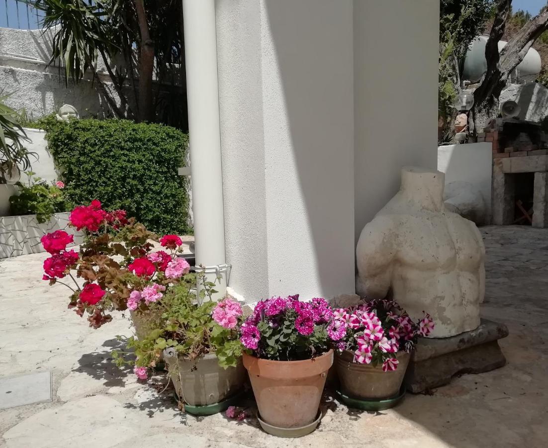 B&B L'Altare Bianco Vieste Bagian luar foto