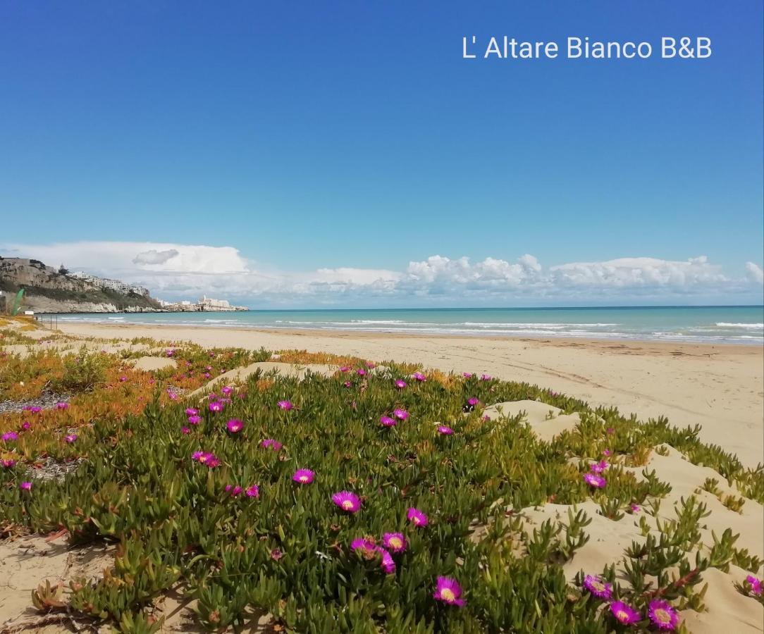 B&B L'Altare Bianco Vieste Bagian luar foto