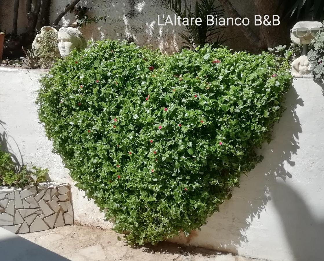 B&B L'Altare Bianco Vieste Bagian luar foto
