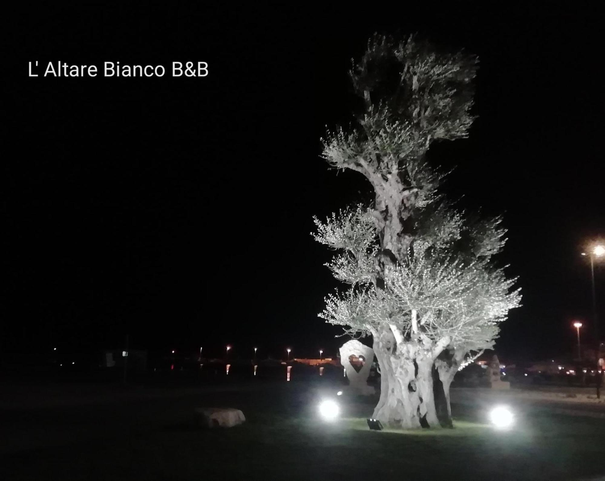 B&B L'Altare Bianco Vieste Bagian luar foto